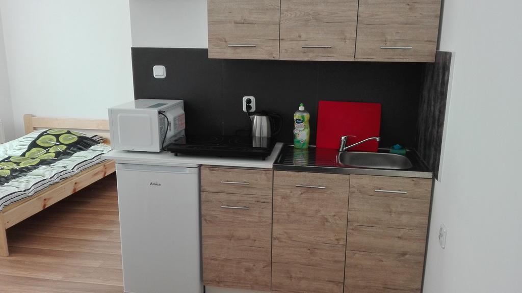 Pokoje Typu Studio Sosnowiec Ngoại thất bức ảnh