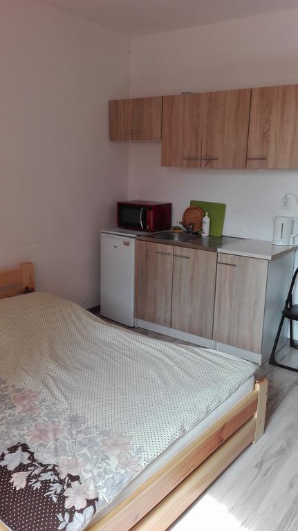 Pokoje Typu Studio Sosnowiec Ngoại thất bức ảnh